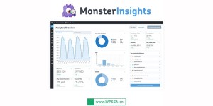 MonsterInsights Pro v8.25.0 下载强大的 WordPress 用户访问分析汉化插件