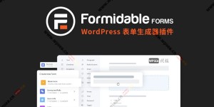 Formidable Forms v6.4.3 – 最佳WordPress表单插件，将表单转化为数据驱动应用程序