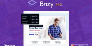 下载 Brizy Pro v2.4.38 中文汉化版构建器WordPress插件