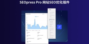 下载 SEOPress Free & PRO v7.2 中文汉化破解版 WordPress 插件