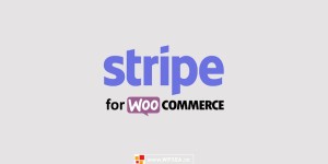 WP借记卡+信用卡+Stripe本地支付插件Stripe for WooCommerce v7.0.1