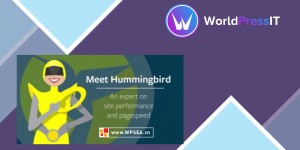 WordPress网站速度优化插件 WPMU DEV Hummingbird Pro v 3.4