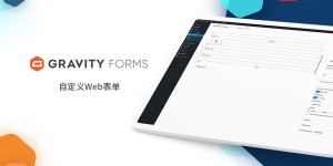 Gravity Forms v2.8.2中文汉化自定义创建Web表单+全套扩展WordPress插件