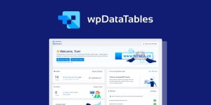 wordpress创建表格图表管理器汉化插件wpDataTables v5.1