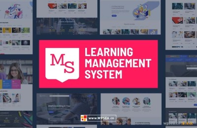 下载 Masterstudy Education v4.8.40 学习管理系统教育WordPress主题