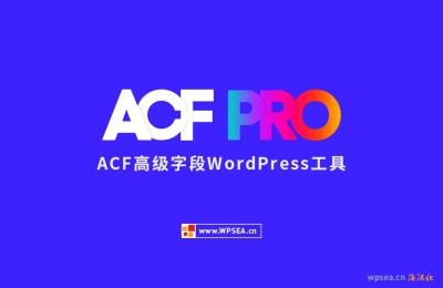 高级自定义字段工具插件更新日志 Advanced Custom Fields (ACF) Pro v6.0.6
