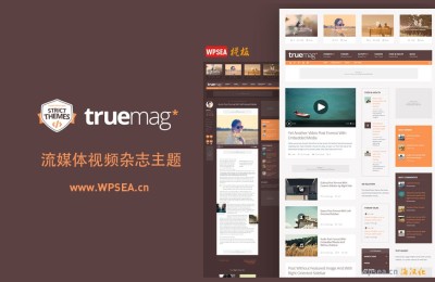 流媒体视频杂志WordPress主题True Mag 4.3.12 – 2022.10.18