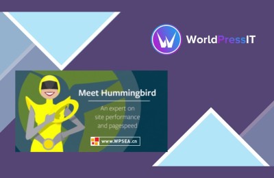 WordPress网站速度优化插件 WPMU DEV Hummingbird Pro v 3.4