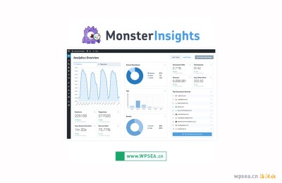 MonsterInsights Pro v8.25.0 下载强大的 WordPress 用户访问分析汉化插件