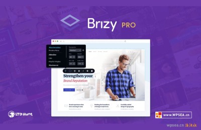 下载 Brizy Pro v2.4.38 中文汉化版构建器WordPress插件