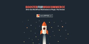 wordpress商店规则功能Booster Plus for WooCommerce v5.6.5