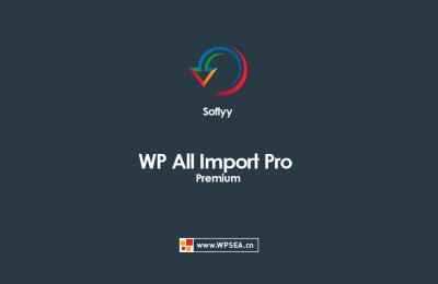wordpress轻松导入XML、CSV文件高级版插件Soflyy WP All Import Pro Premium v4.7.8
