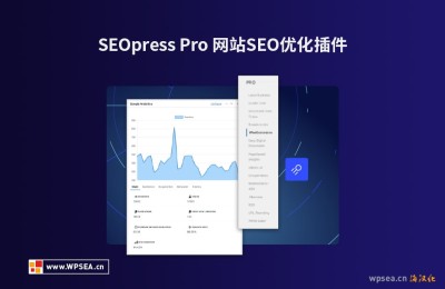下载 SEOPress Free & PRO v7.6.1 中文汉化破解版 WordPress 插件