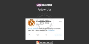 WooCommerce Follow-Up Emails v4.9.38 自动跟进客户转化WordPress插件